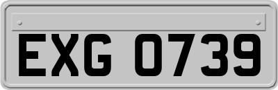 EXG0739
