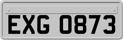 EXG0873