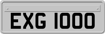 EXG1000