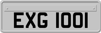 EXG1001