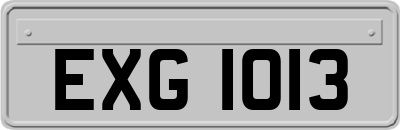 EXG1013