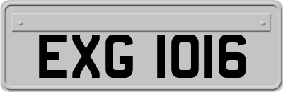 EXG1016