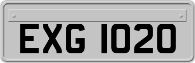 EXG1020