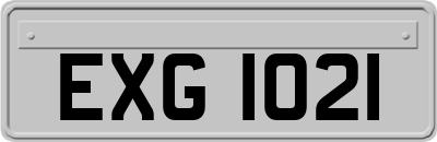 EXG1021