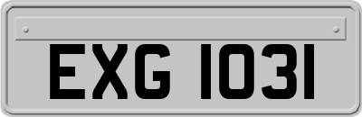 EXG1031