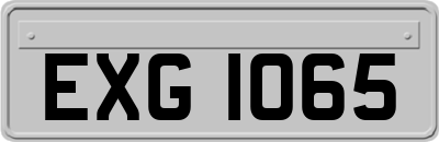 EXG1065