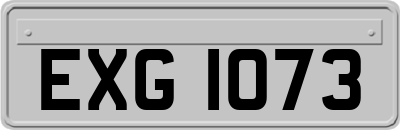 EXG1073