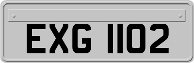EXG1102