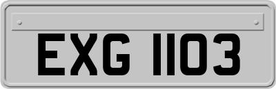 EXG1103