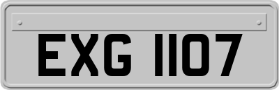 EXG1107