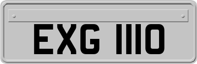 EXG1110