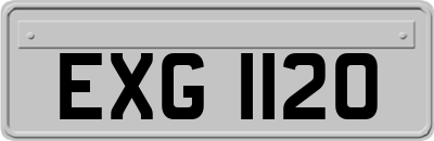 EXG1120