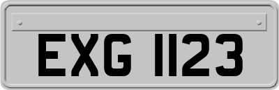EXG1123