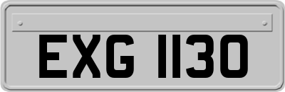 EXG1130