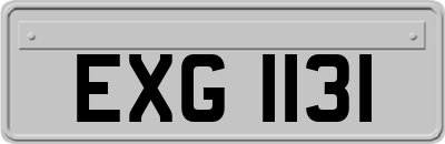 EXG1131