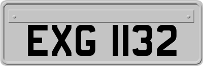 EXG1132
