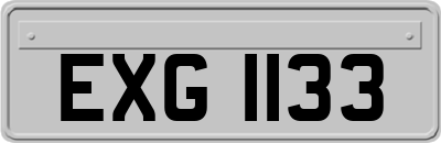 EXG1133