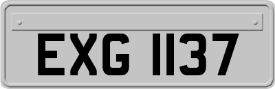 EXG1137