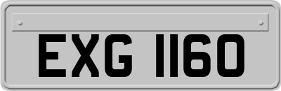 EXG1160