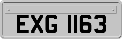 EXG1163