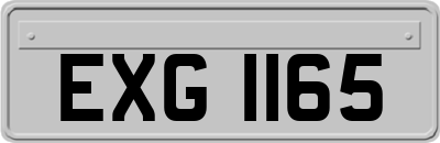 EXG1165