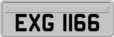 EXG1166