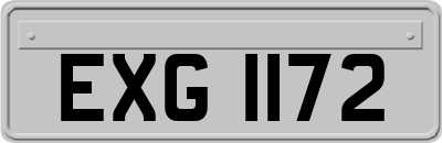 EXG1172