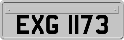 EXG1173