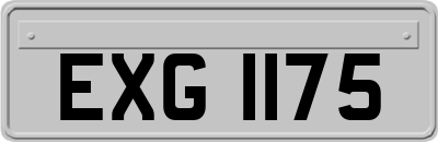 EXG1175