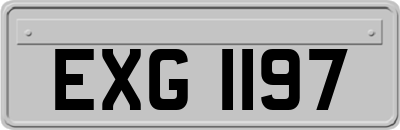 EXG1197