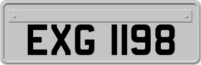 EXG1198
