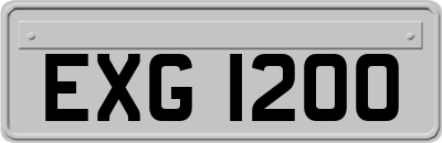 EXG1200
