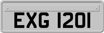 EXG1201