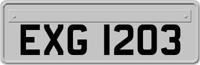 EXG1203