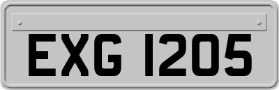 EXG1205