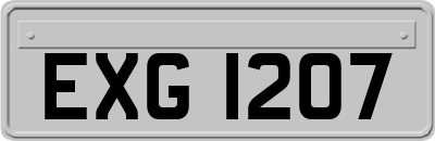 EXG1207