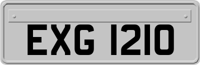 EXG1210