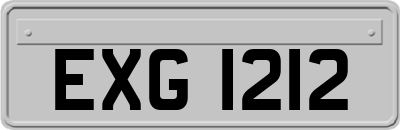 EXG1212