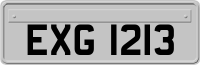 EXG1213