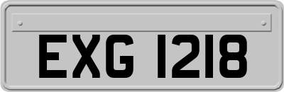 EXG1218