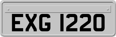 EXG1220