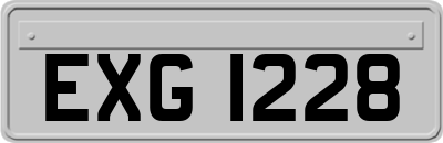 EXG1228