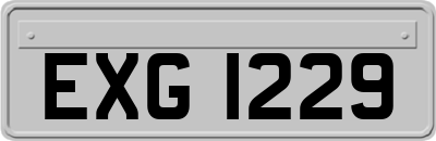 EXG1229