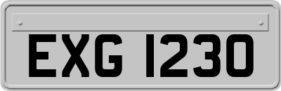 EXG1230