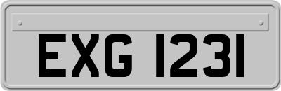 EXG1231