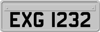 EXG1232