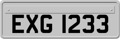 EXG1233
