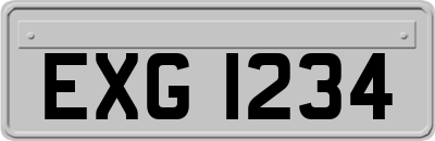 EXG1234