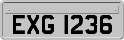 EXG1236