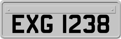 EXG1238